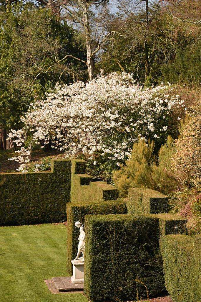 Magnolie królują w ogrodzie Knightshayes w kwietniu i maju. Fot. National Trust Images, John Millar