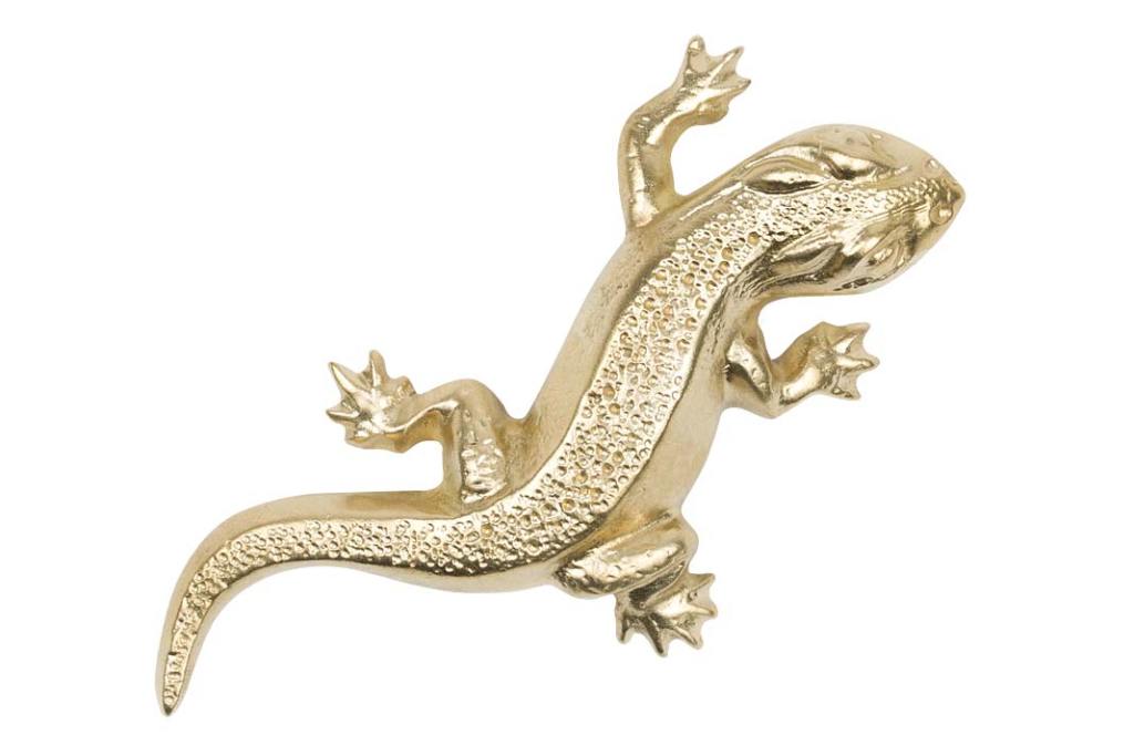Uchwyt meblowy Lizard marki PAP Deco