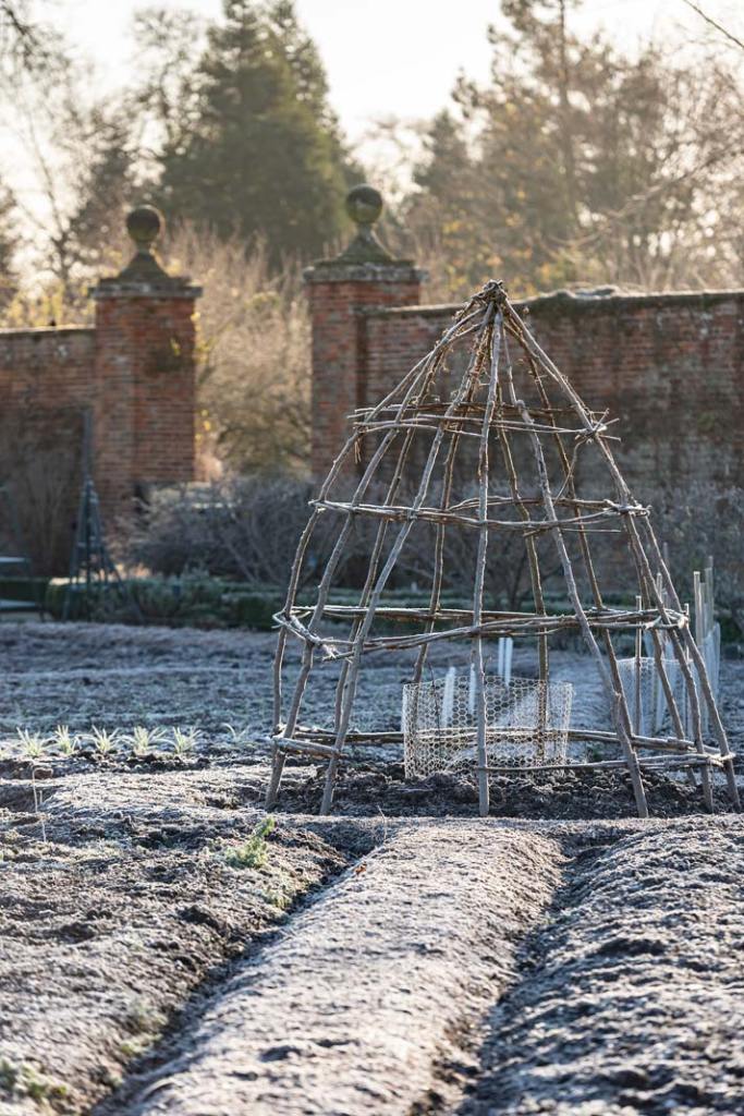 Posiadłość Wimpole Estate_ogrod pałacowy_zima_oszronione rośliny i podpory z chrustu