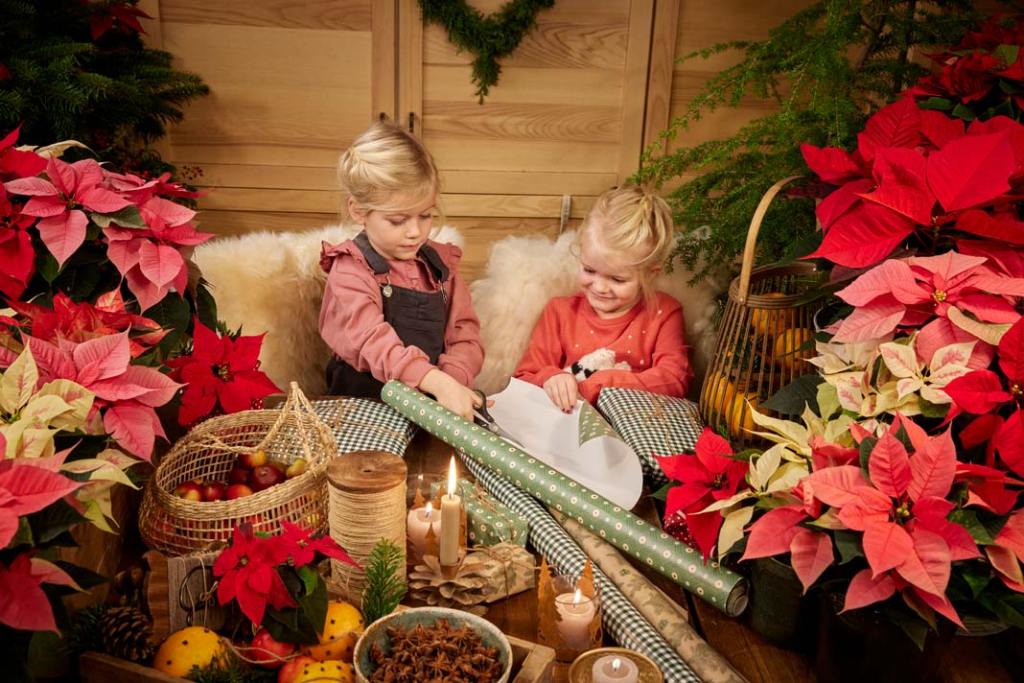 Cottagecore_Charm_poinsecja_gwiazda betlejemska_zdjecie arazacyjne z dziećmi