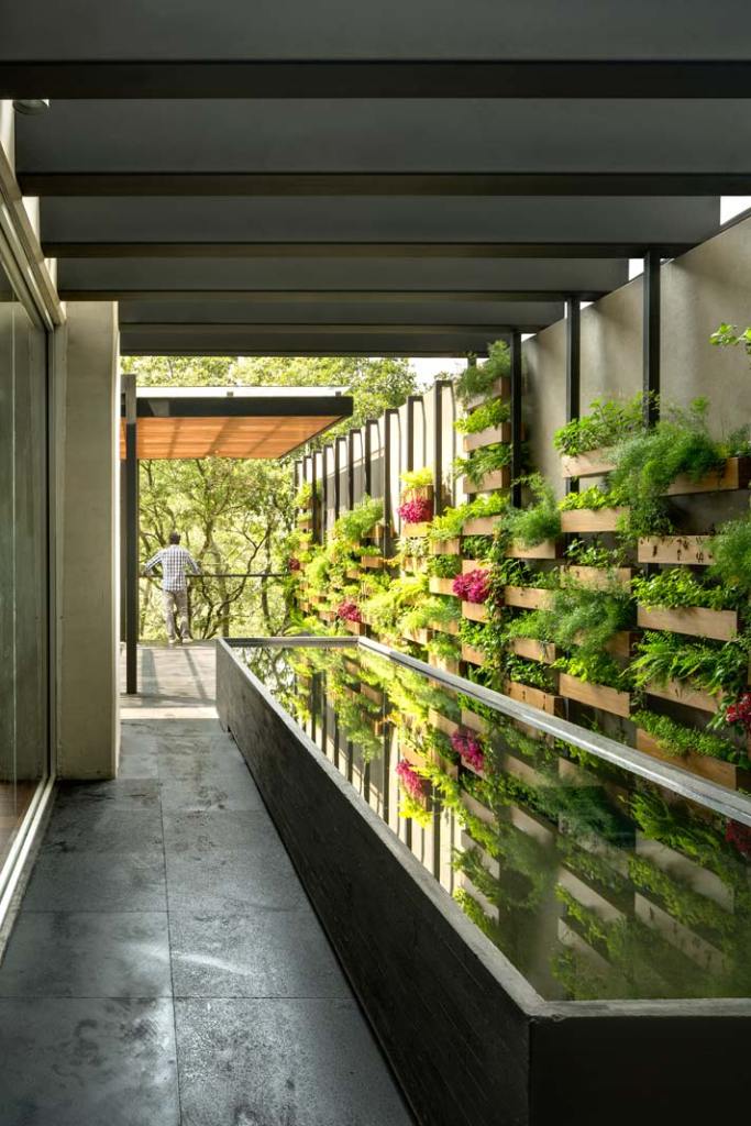 ogród wertykalny w rezydencji Villa Jardin w Meksyku, proj. ASP Arquitectura Sergio Portillo