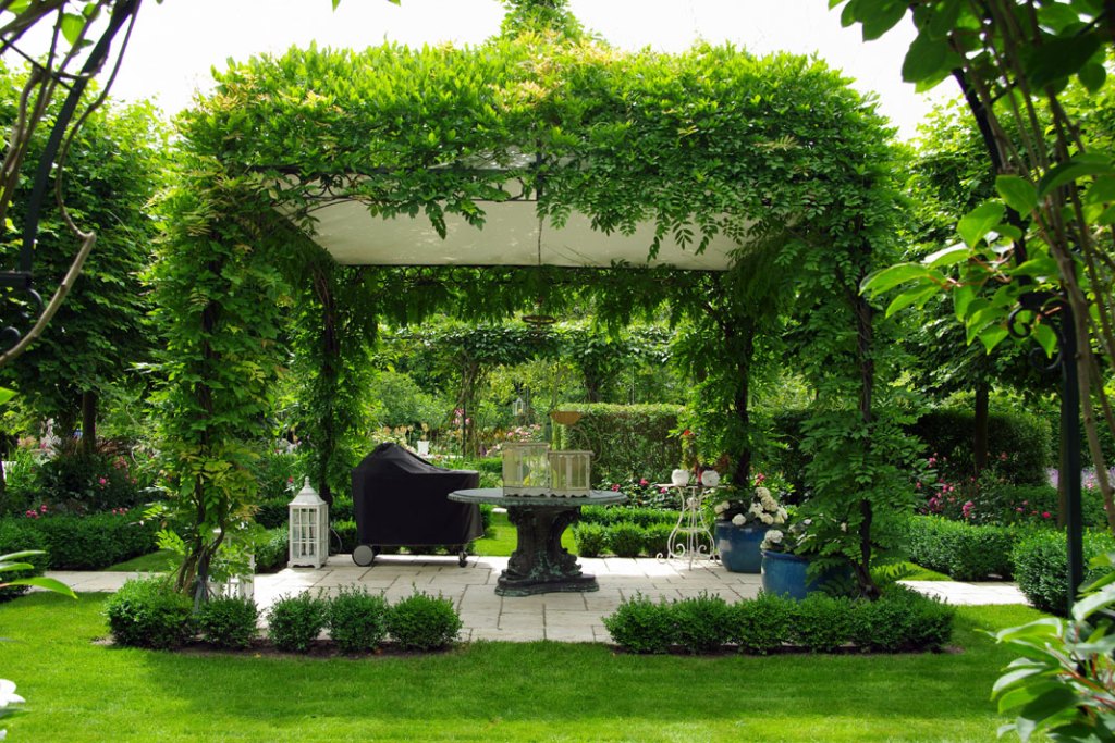 pergola w ogrodzie z Bydgoszyczy wg projektu Agnieszki Hubeny Zukowskiej