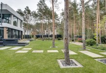 Leśny ogród pod Warszawą – natura i geometra ogród leśny