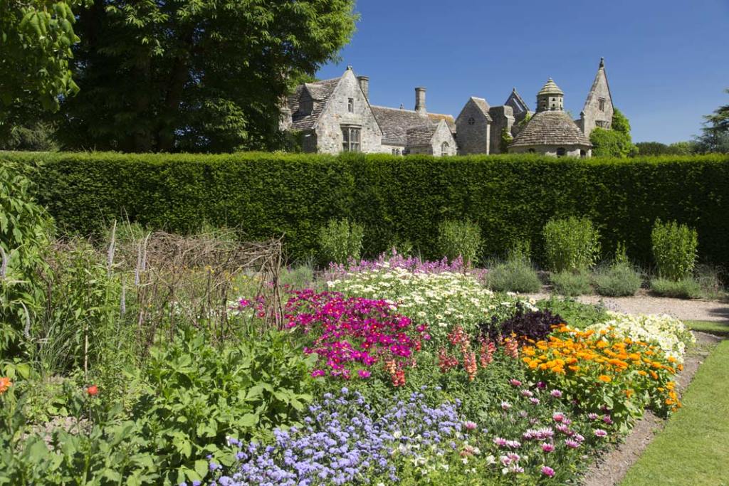 Od wiosny do jesieni na rabatach zachwycają tysiące kwiatów. Wiele z nich posadzono ponad 100 lat temu.