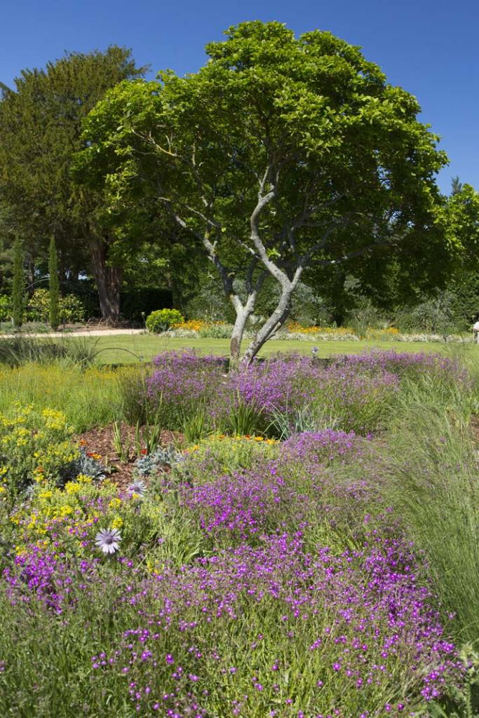 ogród w nymans roślinność