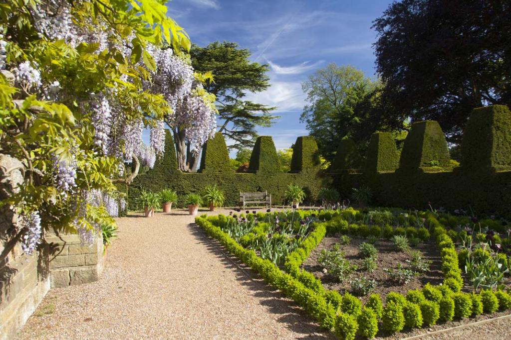 topiary w ogrodzie w Nymans