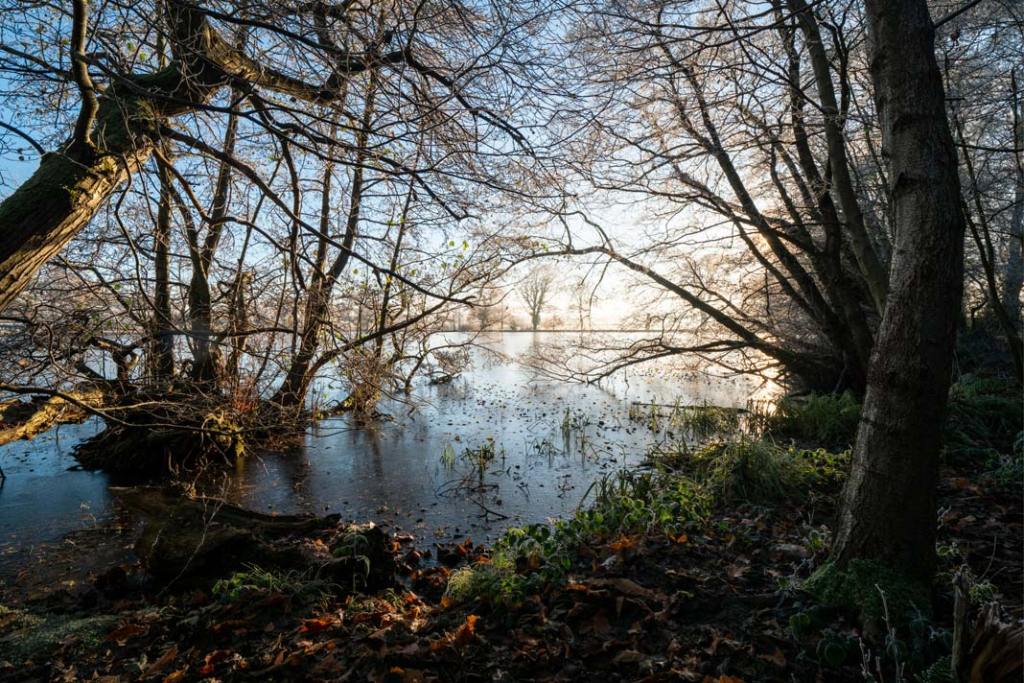 zimowy pejzaż nad wodą