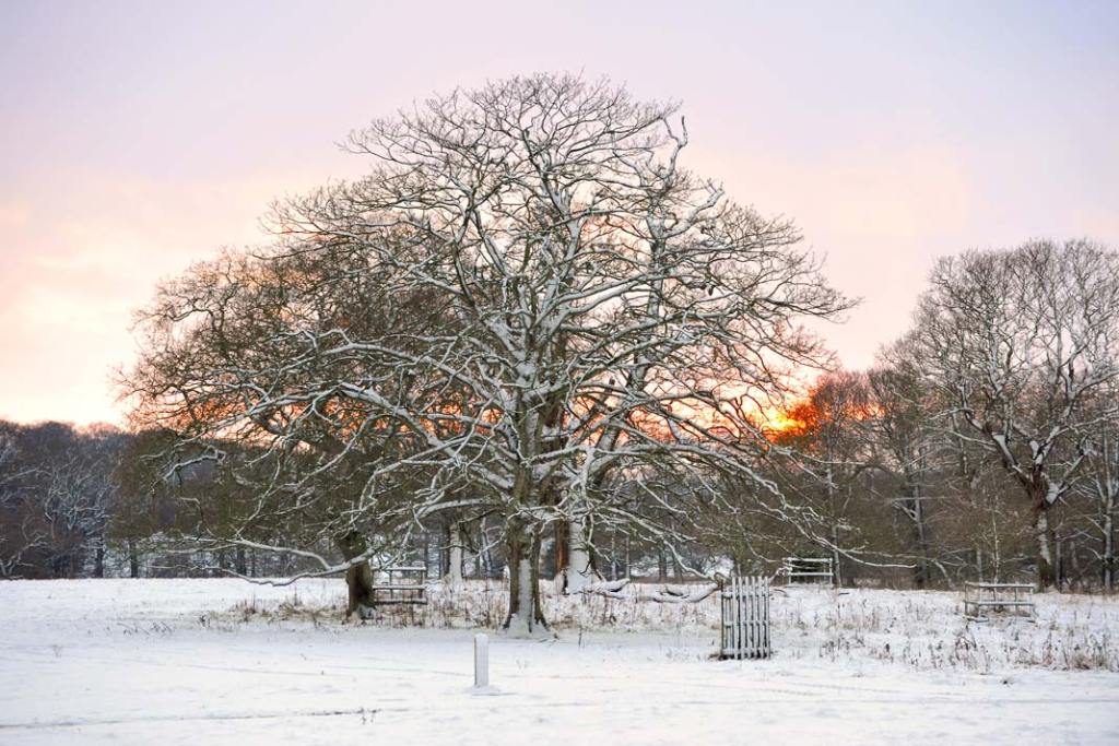 W posiadłości znajdują się liczne bramy i furtki nadające aranżacji romantyczny charakter.